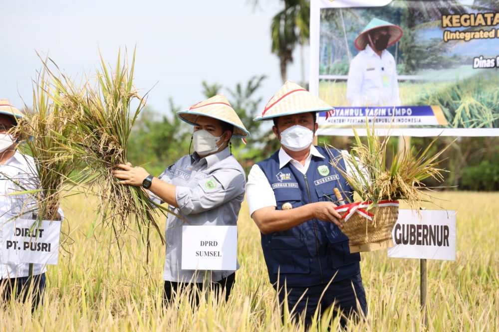Herman Deru Optimis Sumsel Segera Capai Target, Sebagai Daerah Lumbung Pangan Nasional