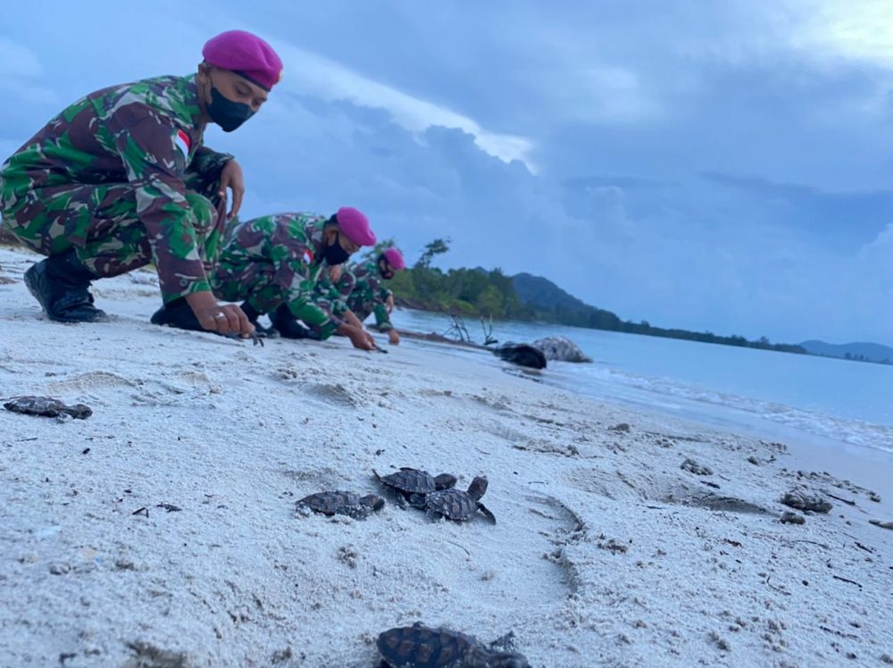 Pelepasan Penyu Warnai Peringatan HUT Ke 76 Korps Marinir di Perbatasan Natuna
