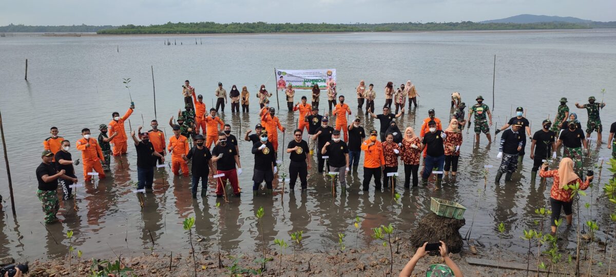 Meriahkan HUT Basarnas Ke-50, KPP Natuna Tanam 100 Pohon Mangrove