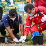 Dukung Upaya Pemkot Hijaukan Kota Dumai, Pertamina Serahkan 1.000 Bibit Pohon Tabebuya
