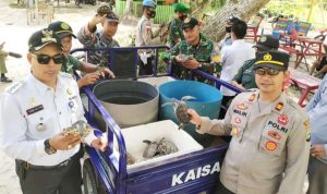 Polsek Serasan Akan Tindak Tegas Bagi Pelaku Eksploitasi Penyu
