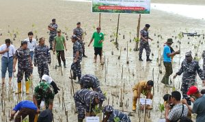 Peringatan Mangrove Sedunia, Lanal Dabo Singkep Tanam Ribuan Bibit Mangrove