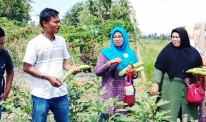 Echo Green Sumbar Subdistrik Kecamatan Lubuk Alung Lakukan Peninjauan ke Lokasi Binaan Echo Green Sumbar Subdistrik Kecamatan Lubuk Alung Lakukan Peninjauan ke Lokasi Binaan