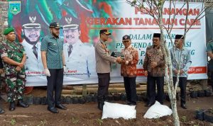 Kakankemenag Hadiri Pencanangan Gerakan Tanam Cabai di Kota Padang Panjang