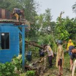 Bhabinkamtibmas, Babinsa dan Warga Goro Bersihkan Pohon Tumbang 