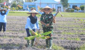 Dukung Ketahanan Pangan Nasional, Danlanud RSA Tanam Puluhan Pohon Pisang Dukung Ketahanan Pangan Nasional, Danlanud RSA Tanam Puluhan Pohon Pisang