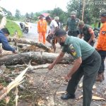 Peduli Sesama, Personil Koramil 04/Letung Bantu Warga Bersihkan Pohon Kayu Tumbang Tertimpa Badan Jalan Peduli Sesama, Personil Koramil 04/Letung Bantu Warga Bersihkan Pohon Kayu Tumbang Tertimpa Badan Jalan