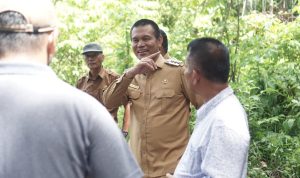 Genius Umar Tinjau Jalur Pedestrian Hutan Kota di Desa Sikapak Timur