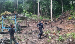 Babinsa Koramil 04/Letung Bersama Polhut Lakukan Patroli, Cegah Dini Karhutla Babinsa Koramil 04/Letung Bersama Polhut Lakukan Patroli, Cegah Dini Karhutla