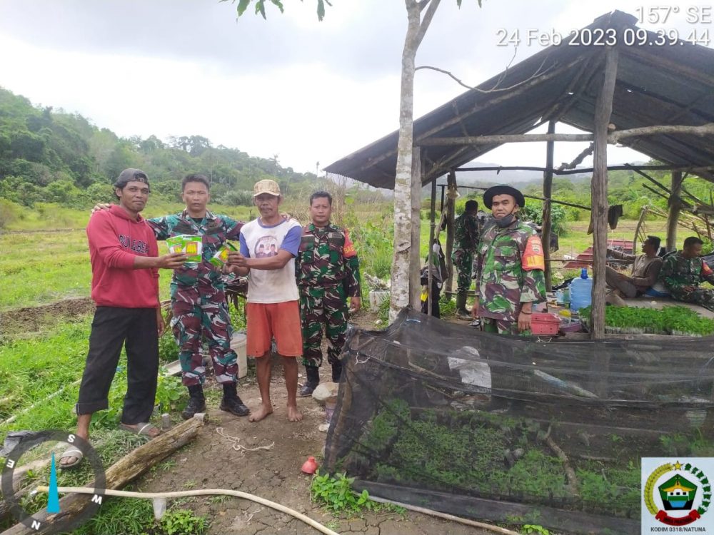 Atasi Kesulitan Rakyat, Danramil 04/Letung Serahkan Bibit Jagung Bagi Kelompok Tani Atasi Kesulitan Rakyat, Danramil 04/Letung Serahkan Bibit Jagung Bagi Kelompok Tani