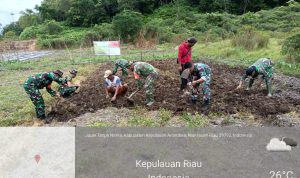 Tingkatkan Ketahanan Pangan, Koramil 04/Letung Buka Lahan Jagung Bagi Kelompok Tani