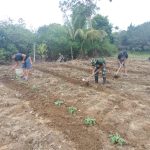 Kembali Buka Lahan Pangan, Plh. Danramil 06/Serasan : Semoga Lancar dan Sesuai Harapan Kembali Buka Lahan Pangan, Plh. Danramil 06/Serasan : Semoga Lancar dan Sesuai Harapan