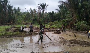 Bersama Korwil BBPT Anambas Dan Kelompok Tani, Koramil 04/Letung Lakukan Pengolahan Lahan Padi Bersama Korwil BBPT Anambas Dan Kelompok Tani, Koramil 04/Letung Lakukan Pengolahan Lahan Padi