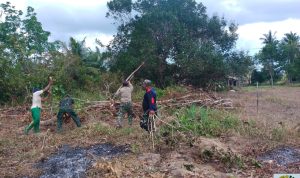 Koramil 03/Sedanau Lakukan Pembersihan Lahan Ketahanan Pangan Koramil 03/Sedanau Lakukan Pembersihan Lahan Ketahanan Pangan