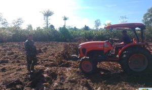 Tingkatkan Ketahanan Pangan Desa Sedarat Baru, Babinsa Koramil 03/Sedanau Buka Lahan Jagung Tingkatkan Ketahanan Pangan Desa Sedarat Baru, Babinsa Koramil 03/Sedanau Buka Lahan Jagung