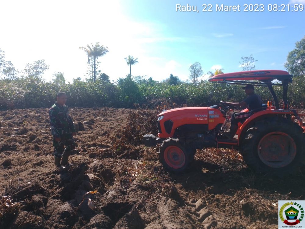 Tingkatkan Ketahanan Pangan Desa Sedarat Baru, Babinsa Koramil 03/Sedanau Buka Lahan Jagung Tingkatkan Ketahanan Pangan Desa Sedarat Baru, Babinsa Koramil 03/Sedanau Buka Lahan Jagung