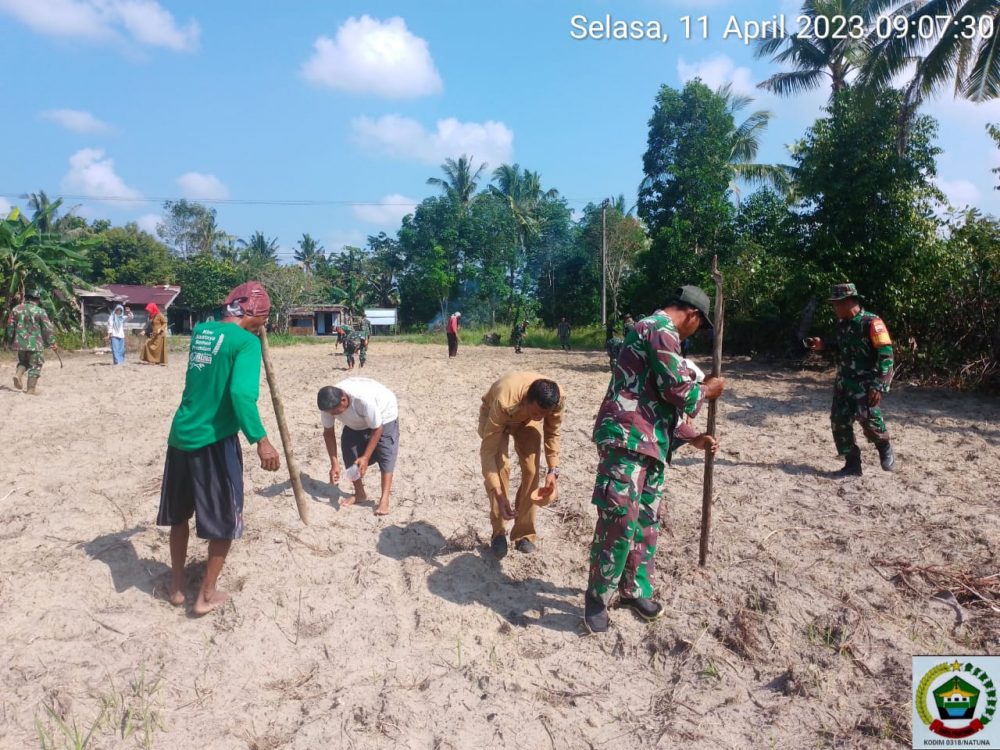 Tingkatkan Ketahanan Pangan, Babinsa Koramil 03/Sedanau Bersama Warga Tanam Jagung Tingkatkan Ketahanan Pangan, Babinsa Koramil 03/Sedanau Bersama Warga Tanam Jagung