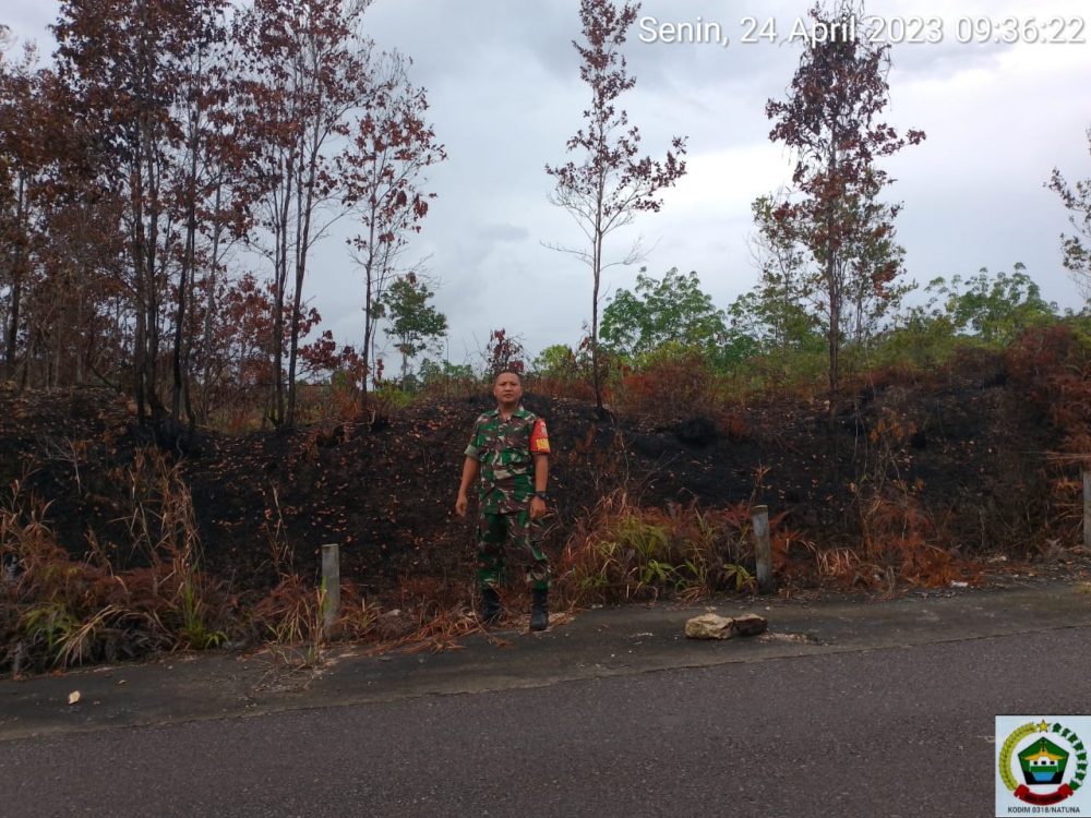 Babinsa Koptu Pamuji Akan Tindakan Tegas Bagi Pelaku Karhutla Babinsa Koptu Pamuji Akan Tindakan Tegas Bagi Pelaku Karhutla