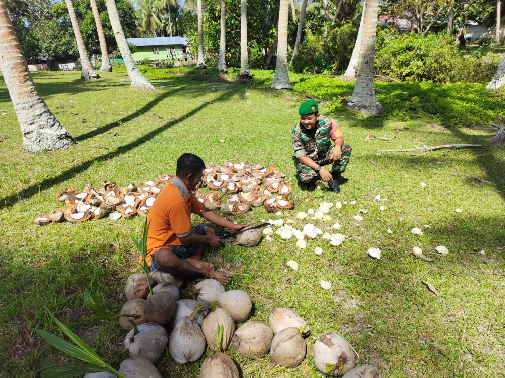 Peduli Terhadap Petani Kelapa, Ini Yang Dilakukan Babinsa Sertu Risdianto Peduli Terhadap Petani Kelapa, Ini Yang Dilakukan Babinsa Sertu Risdianto