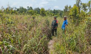 Babinsa Koramil 03/Sedanau Terus Lakukan Pemantauan Terhadap Wilayah Rawan Karhutla Babinsa Koramil 03/Sedanau Terus Lakukan Pemantauan Terhadap Wilayah Rawan Karhutla