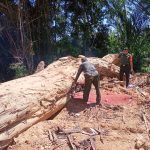 Sambangi Warga Saat Sedang Memotong Kayu Pasca Longsor, Babinsa Pratu Jhon Ingatkan Utamakan Keselamatan