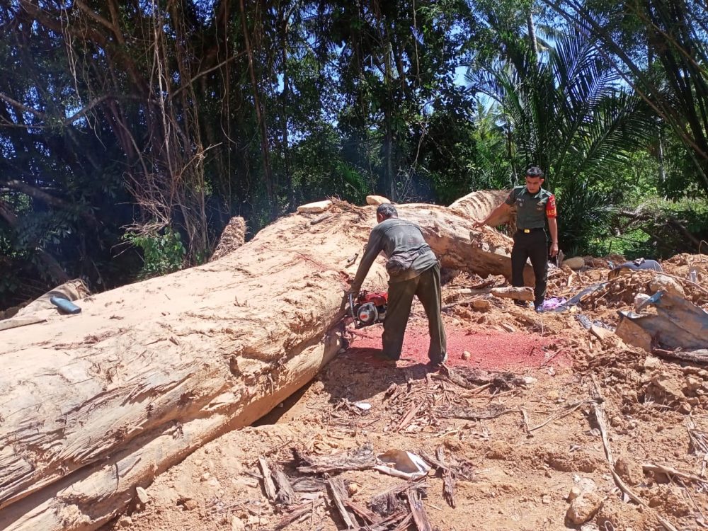 Sambangi Warga Saat Sedang Memotong Kayu Pasca Longsor, Babinsa Pratu Jhon Ingatkan Utamakan Keselamatan