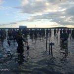 Kodim 0318/Natuna Turut Lakukan Penanaman Mangrove Secara Serentak Seluruh Indonesia