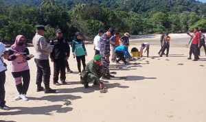Peduli Lingkungan, Koramil 06/Serasan Turut Lakukan Pelepasan Tukik Peduli Lingkungan, Koramil 06/Serasan Turut Lakukan Pelepasan Tukik