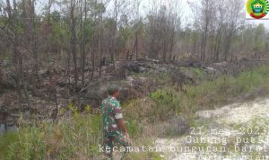 Meski Libur Akhir Pekan, Babinsa Koramil 03/Sedanau Terus Lakukan Patroli Karhutla Meski Libur Akhir Pekan, Babinsa Koramil 03/Sedanau Terus Lakukan Patroli Karhutla
