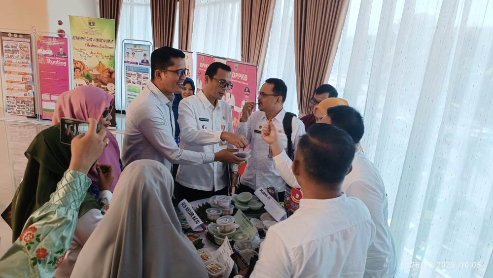 Sekdakab Padang Pariaman Paparkan Progres Pelaksanaan Percepatan Penurunan Stunting Tahun 2023