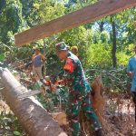 Antisipasi Gangguan Listrik, Babinsa Sertu Chaniago Bersama Petugas PLN dan Warga Goro Bersihkan Pepohonan
