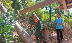 Antisipasi Gangguan Listrik, Babinsa Sertu Chaniago Bersama Petugas PLN dan Warga Goro Bersihkan Pepohonan