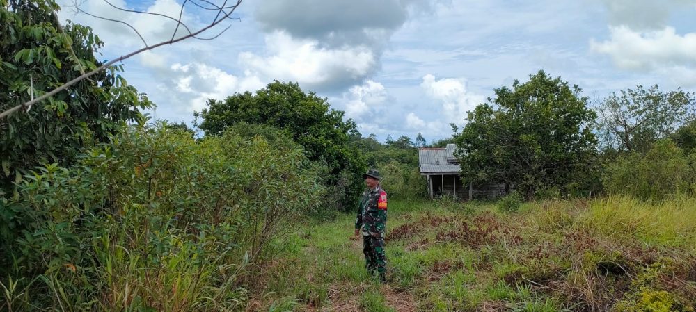 Antisipasi Karhutla, Babinsa Koramil 03/Sedanau Terus Gencar Patroli Antisipasi Karhutla, Babinsa Koramil 03/Sedanau Terus Gencar Patroli