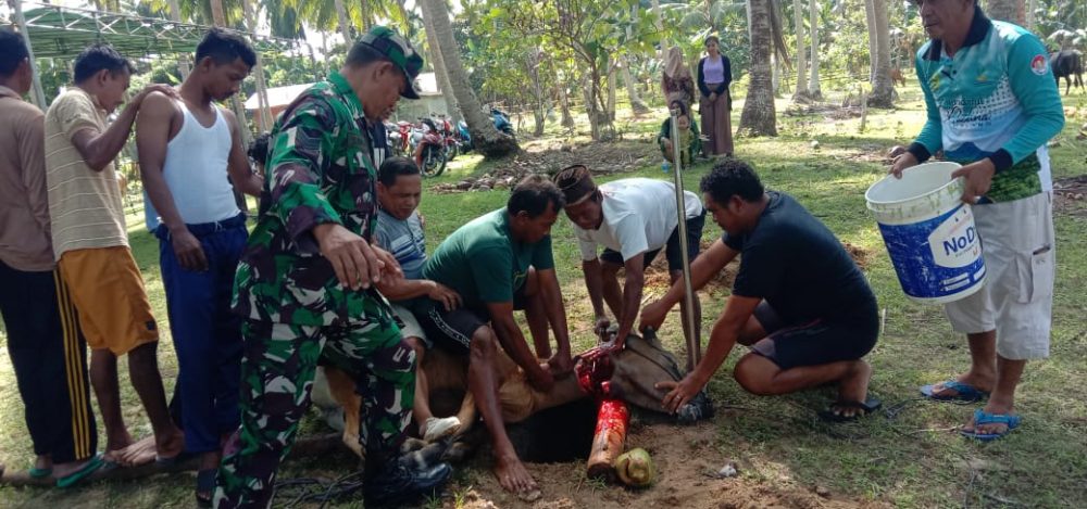 Babinsa Serka Saroji Bantu Warga Desa Terayak Sembelih Hewan Kurban Babinsa Serka Saroji Bantu Warga Desa Terayak Sembelih Hewan Kurban