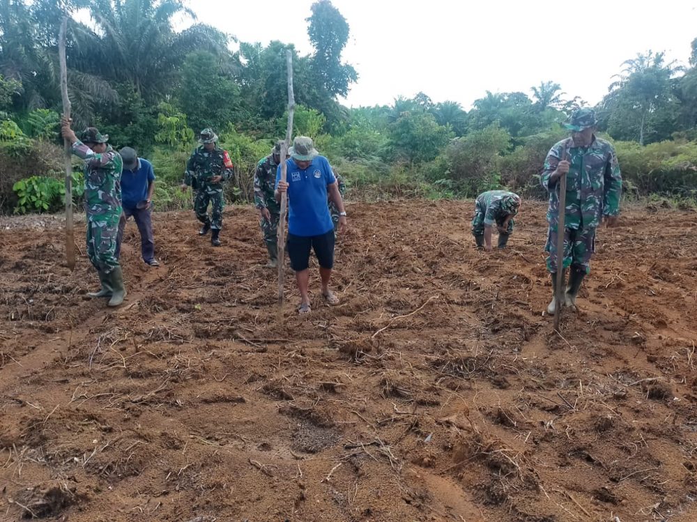 Koramil 03/Sedanau Kembali Buka Lahan Pangan Untuk Ditanami Jagung