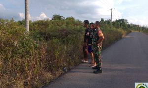 Cegah Karhutla, Personil Koramil 03/Sedanau Kembali Patroli di Wilayah Rawan Cegah Karhutla, Personil Koramil 03/Sedanau Kembali Patroli di Wilayah Rawan