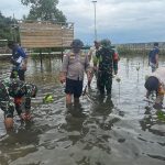 Peduli Lingkungan, Koramil 06/Serasan Bersama Polsek Gelar Penanaman Mangrove