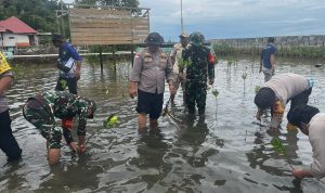 Peduli Lingkungan, Koramil 06/Serasan Bersama Polsek Gelar Penanaman Mangrove