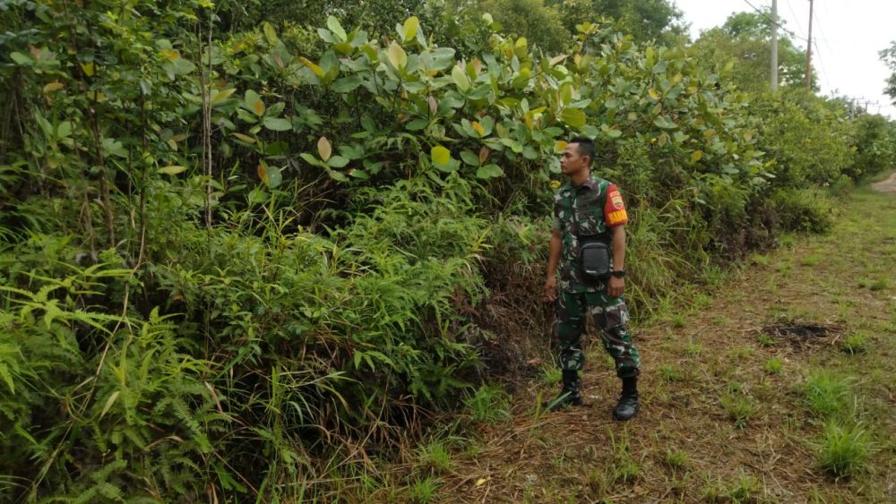 Antisipasi Karhutla, Babinsa Sertu Syahrudin Kembali Patroli Daerah Rawan Antisipasi Karhutla, Babinsa Sertu Syahrudin Kembali Patroli Daerah Rawan