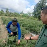 Wujud Kemanunggalan TNI, Babinsa Koramil 03/Sedanau Jalin Komsos Dengan Petani Desa Sedarat Baru Wujud Kemanunggalan TNI, Babinsa Koramil 03/Sedanau Jalin Komsos Dengan Petani Desa Sedarat Baru