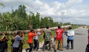 Babinsa Koramil 03/Sedanau Goro Bersama Warga Perbaiki Jembatan Rusak Akibat Banjir Babinsa Koramil 03/Sedanau Goro Bersama Warga Perbaiki Jembatan Rusak Akibat Banjir