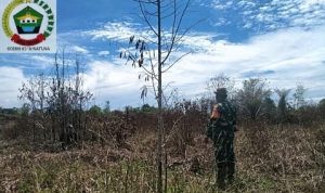 Meski Hujan, Babinsa Koramil 03/Serasan Tetap Patroli Antisipasi Karhutla