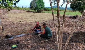 Babinsa Koptu Pamuji Komsos Dengan Petani Desa Sedarat Baru