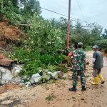 Babinsa Sinergi Bersama Pihak PLN Bersihkan Pohon Tumbang Yang Menimpa Jaringan Listrik