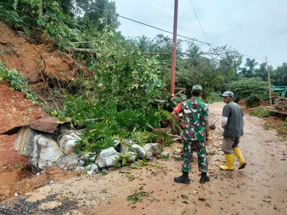 Babinsa Sinergi Bersama Pihak PLN Bersihkan Pohon Tumbang Yang Menimpa Jaringan Listrik