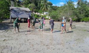 Jaga Kelestarian Lingkungan, Koramil 03/Sedanau Bersama Warga Tanam Mangrove Jaga Kelestarian Lingkungan, Koramil 03/Sedanau Bersama Warga Tanam Mangrove