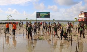 Bersatu Dengan Alam Untuk NKRI, Kodim 0318/Natuna Tanam Mangrove Bersatu Dengan Alam Untuk NKRI, Kodim 0318/Natuna Tanam Mangrove