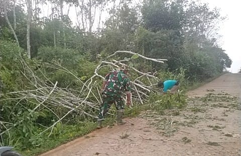 Babinsa Bersama Warga Goro Bersihkan Pohon Tumbang Menimpa Badan Jalan Desa Semedang Babinsa Bersama Warga Goro Bersihkan Pohon Tumbang Menimpa Badan Jalan Desa Semedang