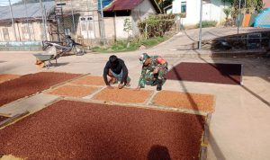 Komsos Dengan Petani Cengkeh, Ini Pesan Babinsa Koramil 06/Serasan Komsos Dengan Petani Cengkeh, Ini Pesan Babinsa Koramil 06/Serasan