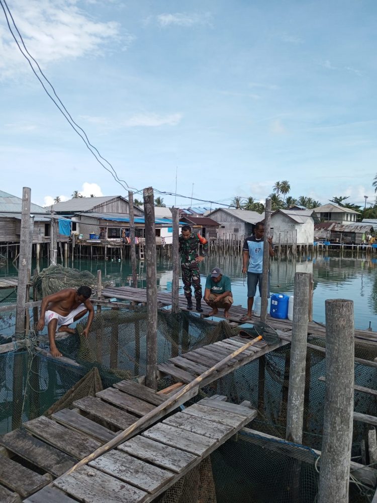 Dukung Peningkatan Ekonomi, Babinsa Pratu Rivaldo Komsos Dengan Pembudidaya Ikan Laut